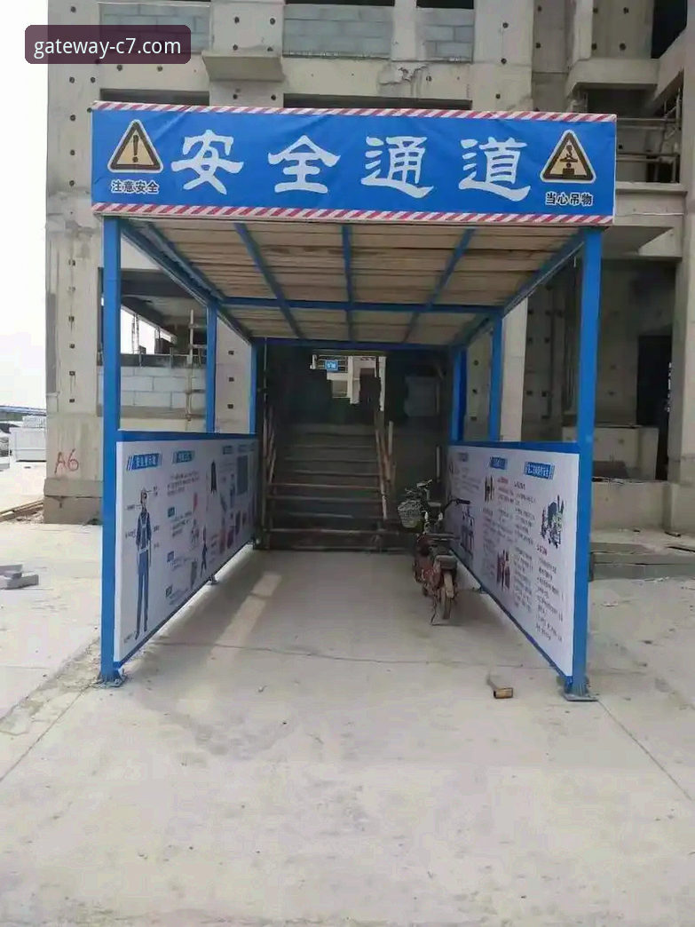 C7官方入口获取路径深度分析：如何精准锁定唯一安全通道