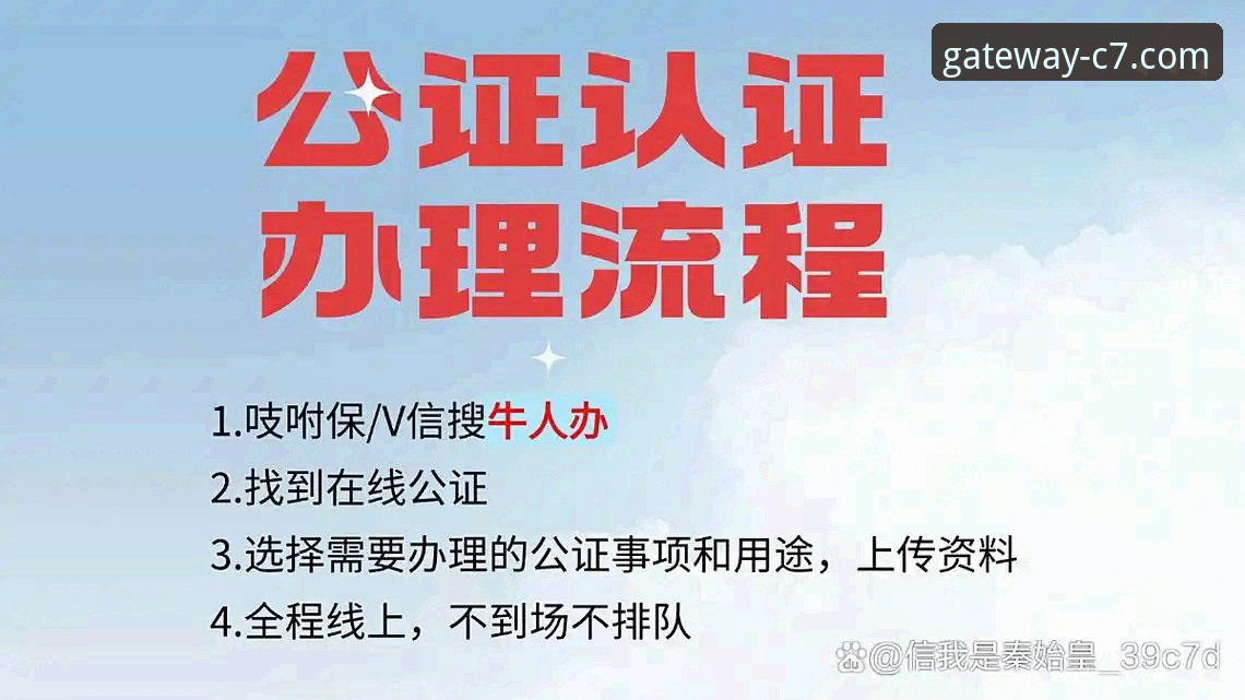 C7官方正版入口必备完整指南：新手如何安全直达官方平台
